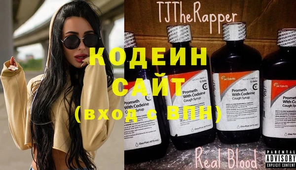 молекула духа Алзамай