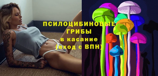 молекула духа Алзамай
