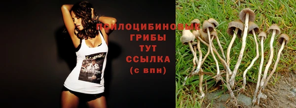 мет Абинск