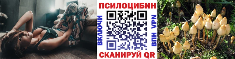 KRAKEN вход  Брянск  Галлюциногенные грибы ЛСД 